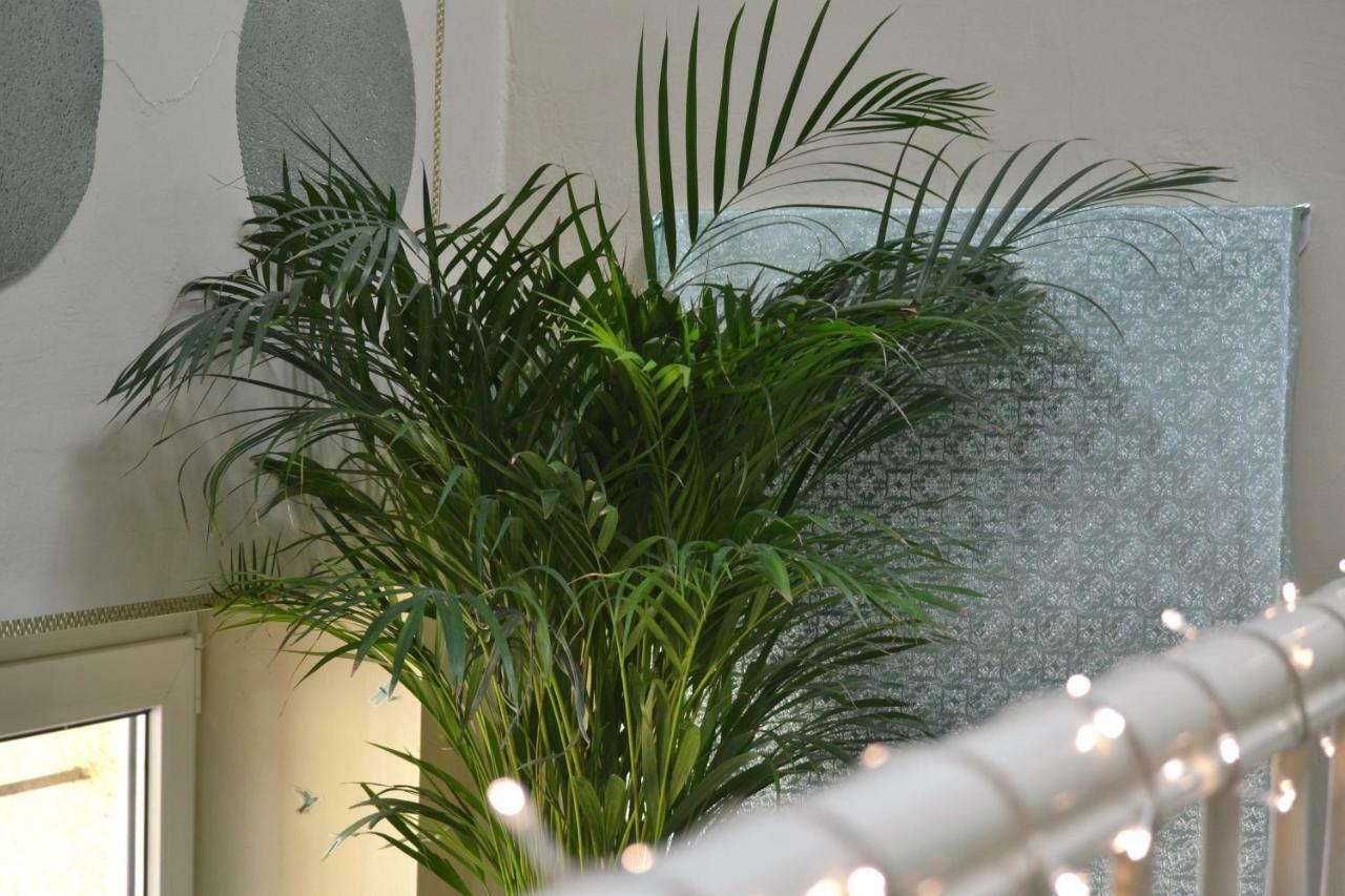 Apartmán Aloes